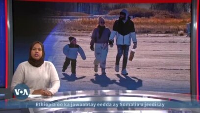 Tahriibka Mareykanka oo yaraaday