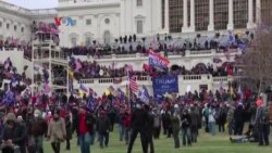 Ribuan Pendukung Presiden Trump Serbu Gedung Capitol