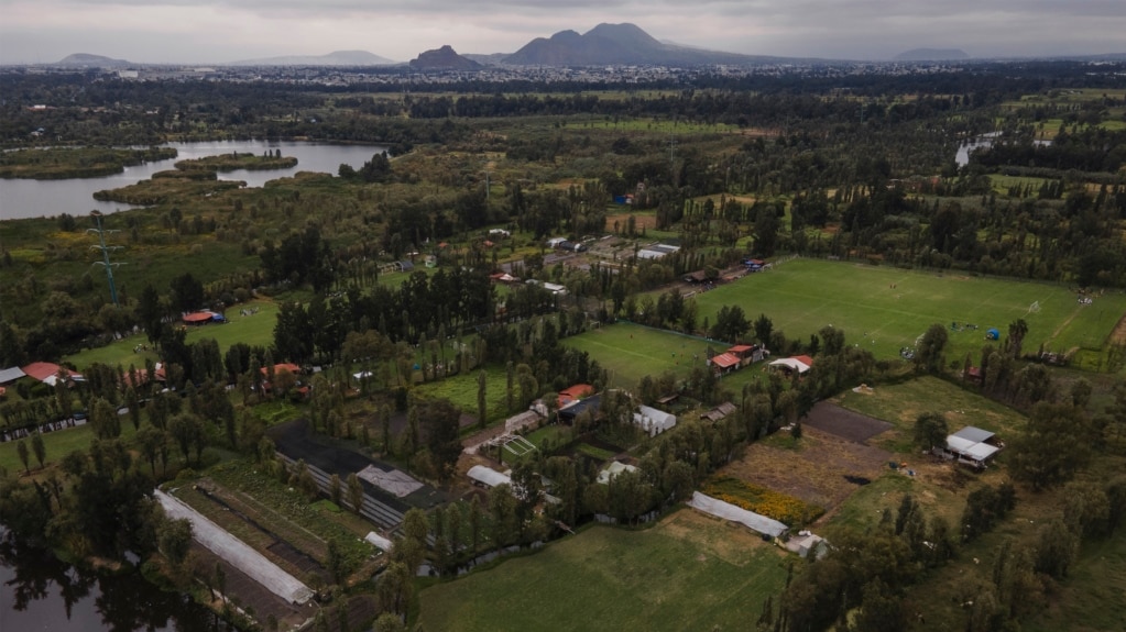 Farmers Aim to Save Mexico City’s Island Gardens