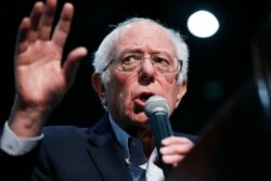 Bernie Sanders saat berkampanye di Sioux City, Iowa, 26 Januari 2020.. (AP Photo/John Locher)