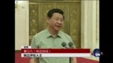 时事大家谈：拍蝇打虎“抓狐狸”—中共秘书为何成“二首长”?