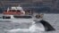 Off the coast of Sydney, passengers aboard a boat are treated to a spectacular whale show, ( Whale Watching Sydney)