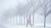 Una persona cruza una calle mientras cae una fuerte nevada el domingo 5 de enero de 2025 en St. Louis. (Foto AP/Jeff Roberson)