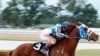 'Secretariat' Tells Inspiring Story of Triple Crown Winner