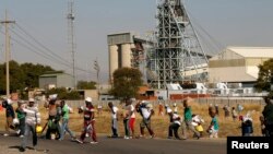 Izisebenzi zenkampani yokwemba