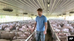 In this June 25, 2019, photo, farmer Matthew Keller walks through one of his pig barns near Kenyon, Minn. When the Trump administration announced a $12 billion aid package for farmers struggling under the financial strain of his trade.