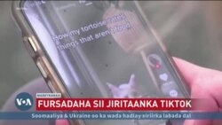 Trump oo doonaya in uu badbaadiyo TikTok