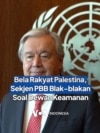 Bela Rakyat Palestina, Sekjen PBB Blak-blakan Soal Dewan Keamanan