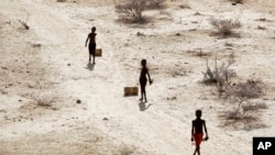 FILE - Young boys pull containers of water as they return to their huts from a well in the village of Ntabasi village amid a drought in Samburu East, Kenya, on Oct, 14, 2022.