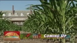 Buenos Días América 