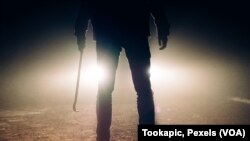 Pencuri (foto Ilustrasi)