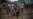 Myanmar's Aung San Suu Kyi: World Misinformed About Rohingya Crisis