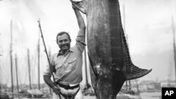 In this July 1934 photo provided by the John F. Kennedy Library Foundation from the Ernest Hemingway Collection, Ernest Hemingway poses with a marlin at Havana Harbor, in Key West, Florida.