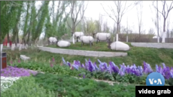 Expo Hortikultura Internasional Beijing 2019. (Foto: VOA/videograb)