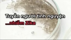 Tuyển người tình nguyện nhiễm Zika