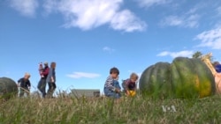 Preschoolers Plant, Harvest, Pet Farm Animals and Learn