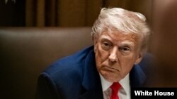 د امریکا ولسمشر ډونالد ټرمپ