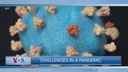 Challenges in a Pandemic