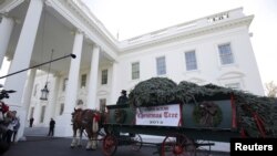 La Asociación Histórica de la Casa Blanca le da crédito a Lou Henry Hoover por establecer la costumbre de decorar un árbol oficial en la Casa Blanca.