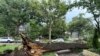 Árboles caídos sobre calles y caminos ha dejado una racha de fuertes tormentas y vientos en Des Moines, Iowa, el lunes 15 de julio de 2024.