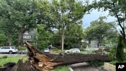 Árboles caídos sobre calles y caminos ha dejado una racha de fuertes tormentas y vientos en Des Moines, Iowa, el lunes 15 de julio de 2024.