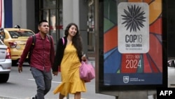 FILE - A couple walks next to a sign announcing the COP16 summit in Cali, Valle del Cauca province, Colombia, on July 22, 2024.