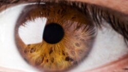 En Venezuela piden ayuda para reanudar programas de transplantes