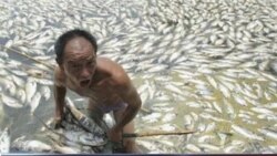 焦点对话(1)中国的水危机-问题的严重性