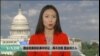 VOA连线: 国会就美联航事件听证：再不改善 国会将介入