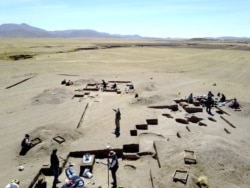 Excavations at Wilamaya Patjxa, Peru. (Photo: Randall Haas)