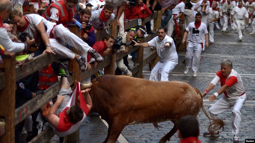 Seseorang ditanduk oleh banteng petarung dalam festival San Fermin di Pamplona, Spanyol, Juli 2014.