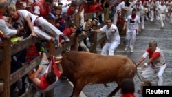 Seseorang ditanduk oleh banteng petarung dalam festival San Fermin di Pamplona, Spanyol, Juli 2014.