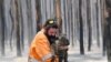 Adelaide wildlife rescuer Simon Adamczyk is seen with a koala rescued at a burning forest near Cape Borda on Kangaroo Island, southwest of Adelaide, Australia. (Credit: AAP Image/David Mariuz)