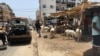 Fête de la Tabaski: à Dakar, pas d'affluence chez les vendeurs de moutons