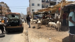 Les tracasseries policières au quotidien sur la route liant le Sénégal au Mali