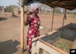 Chemari Choumumba stands next to a production tank of maggots at her home in Chiredzi, Zimbabwe, on Sept. 18, 2024.