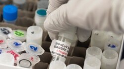 FILE - A researcher lifts a vial with a potential COVID-19 vaccine at Novavax labs in Gaithersburg, Maryland, March 20, 2020, one of the labs developing a vaccine for the coronavirus.