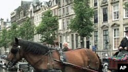 Doorashada Holland oo Gabogabo ku Dhaw