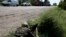 A pro-Russian rebel takes his position at a front line rebel position near the eastern Ukrainian town of  Slovyansk May 16, 2014. 