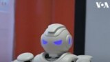 Robi, Robot Polisi di Hungaria