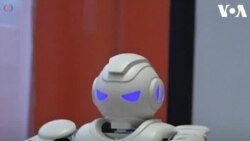 Robi, Robot Polisi di Hungaria