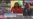 16x9 Image