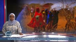 Digniinta gaajo ee WFP ee Soomaaliya 