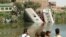 People stand by the wreckage after a locomotive crashed into the tail of the Cairo-bound passenger train in southern Egypt, in the province of Minya, about 168 miles south of Cairo, Oct. 13, 2024. 