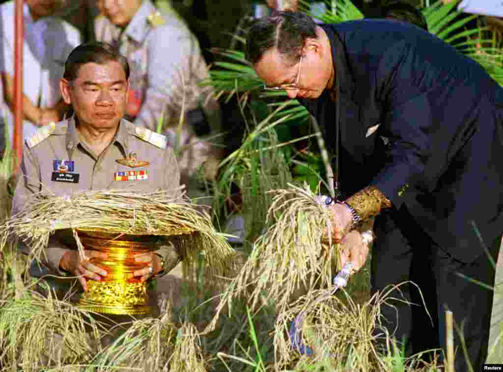 Raja Bhumibol Adulyadej memanen padi dalam proyek swasembada pangan yang disponsori keluarga kerajaan di provinsi Prachinburi, 1998.