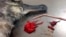 FILE - This 2016 photo provided by the Commonwealth Scientific and Industrial Research Organization shows a dead bird on a table next to a plastic straw and pieces of a red balloon found inside of it off the coast of Brisbane, Australia.