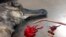 Photo provided by the Commonwealth Scientific and Industrial Research Organization shows a dead shearwater bird rests on a table next to a plastic straw and pieces of a red balloon found inside of it on North Stradbroke Island, off the coast of Brisbane, Australia, Dec. 2016.