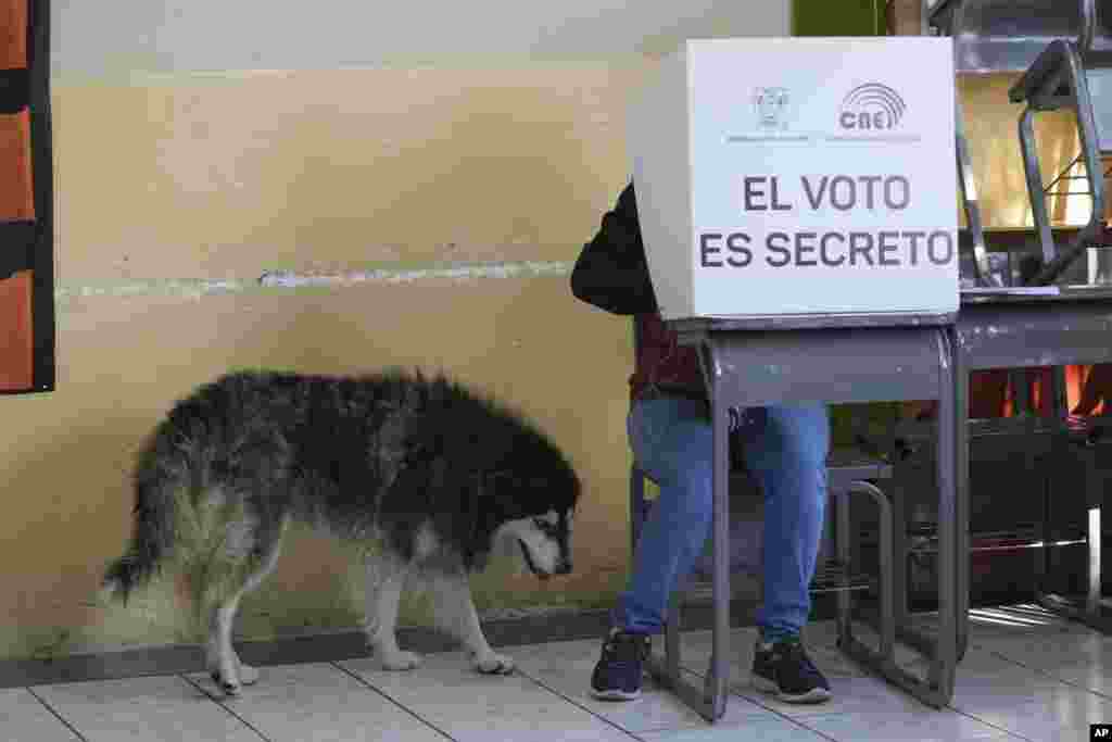 Un hombre acompañado de su perro vota en&nbsp; las elecciones de medio término y un referendo nacional en Quito, Ecuador, el 5 de febrero de 2023.