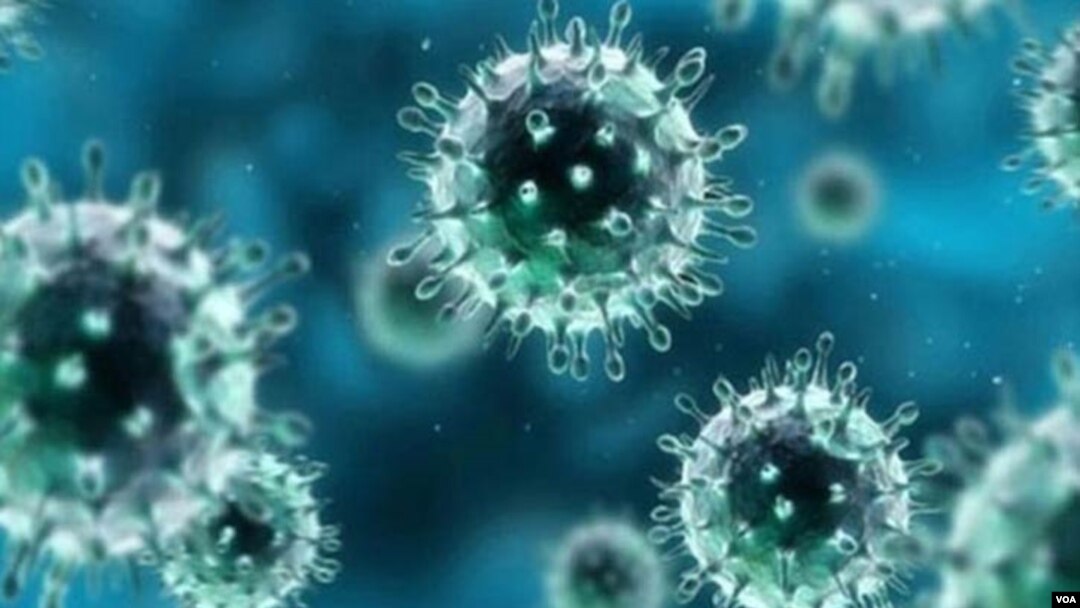 Prema zvaničnim podacima, od početka epidemije sredinom marta u Crnoj Gori je preminula 221 osoba pozivitna na koronavirus