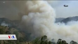 Kurd Connection 010 08 2021